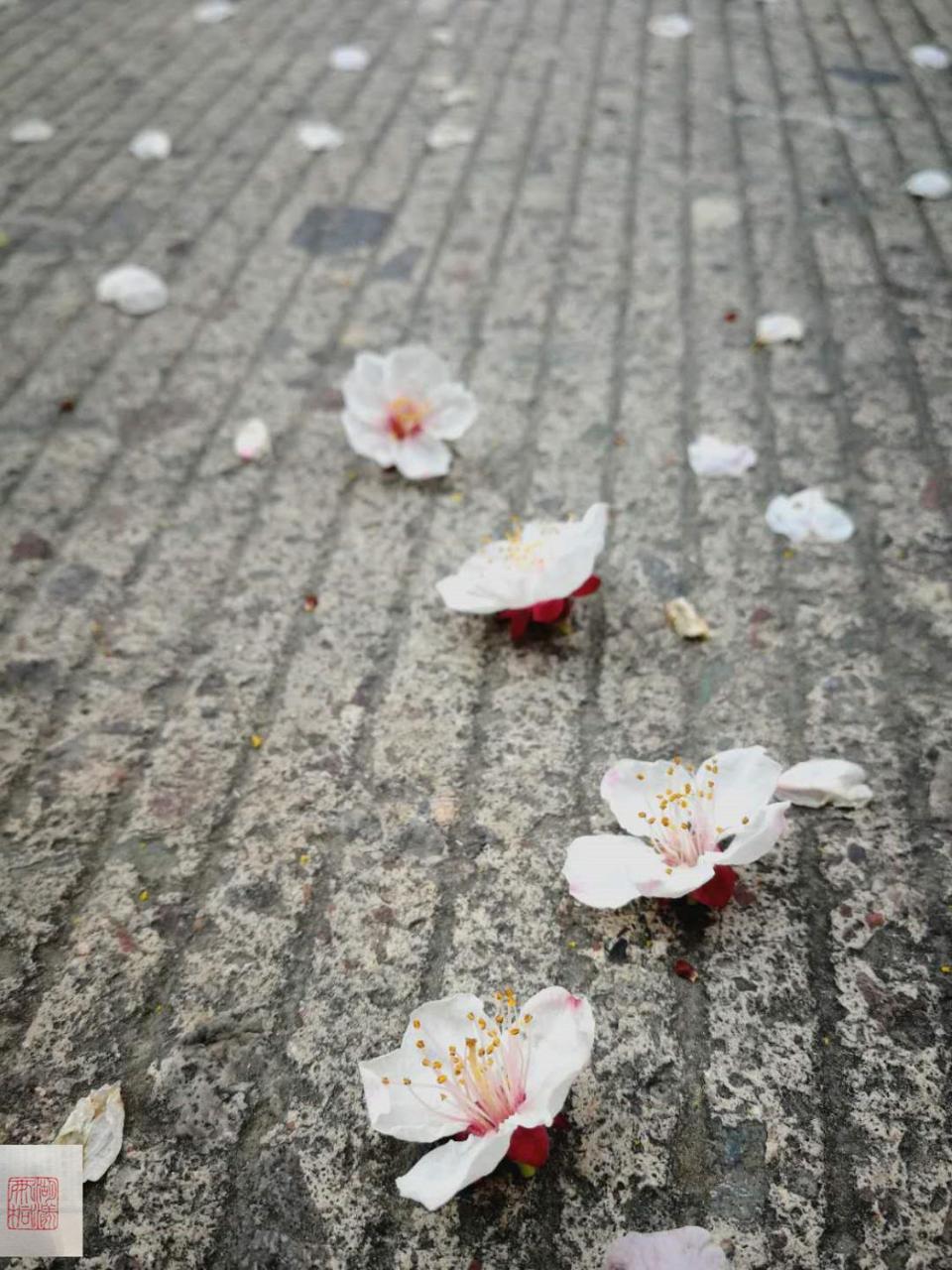 杭州西湖·湖漾雨桐智能民宿 外观 照片
